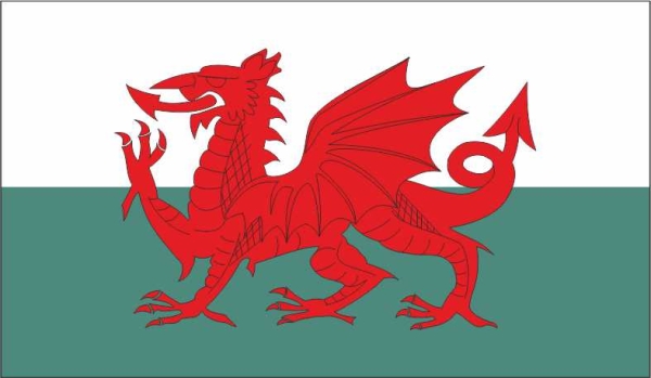 Fahne Wales 140cm x 90cm